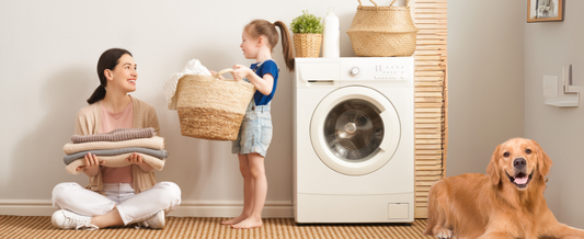The Ultimate Guide to Using Flowcheer Washing Machine Cleaning Tablets for Pet Owners
