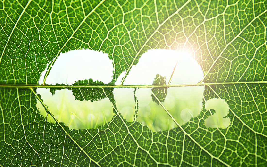 How to Reduce Carbon Emissions in Daily Life - Flowcheer