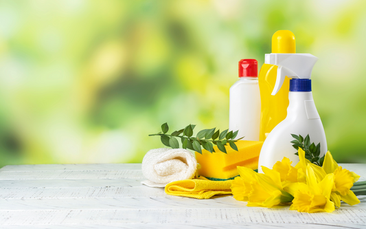 How to Store Household Cleaning Products Correctly - Flowcheer
