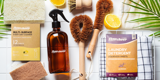 The Link Between a Clean Home and Better Health - Flowcheer