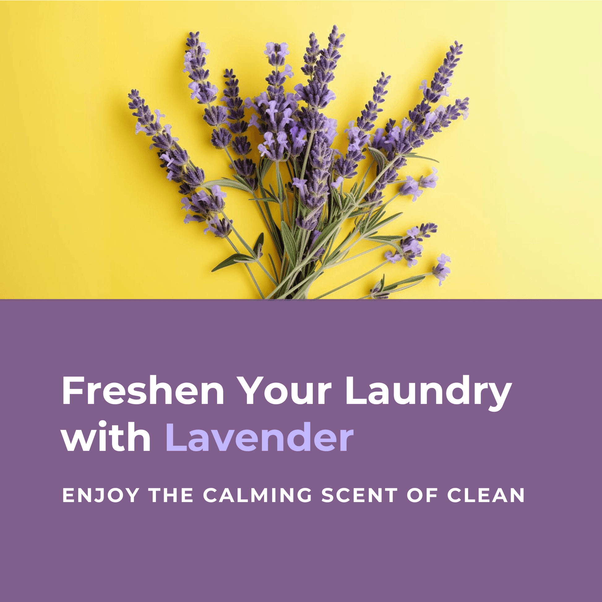 Flowcheer Laundry Detergent Sheets - 30 Sheets - Lavender Fragrance - Flowcheer